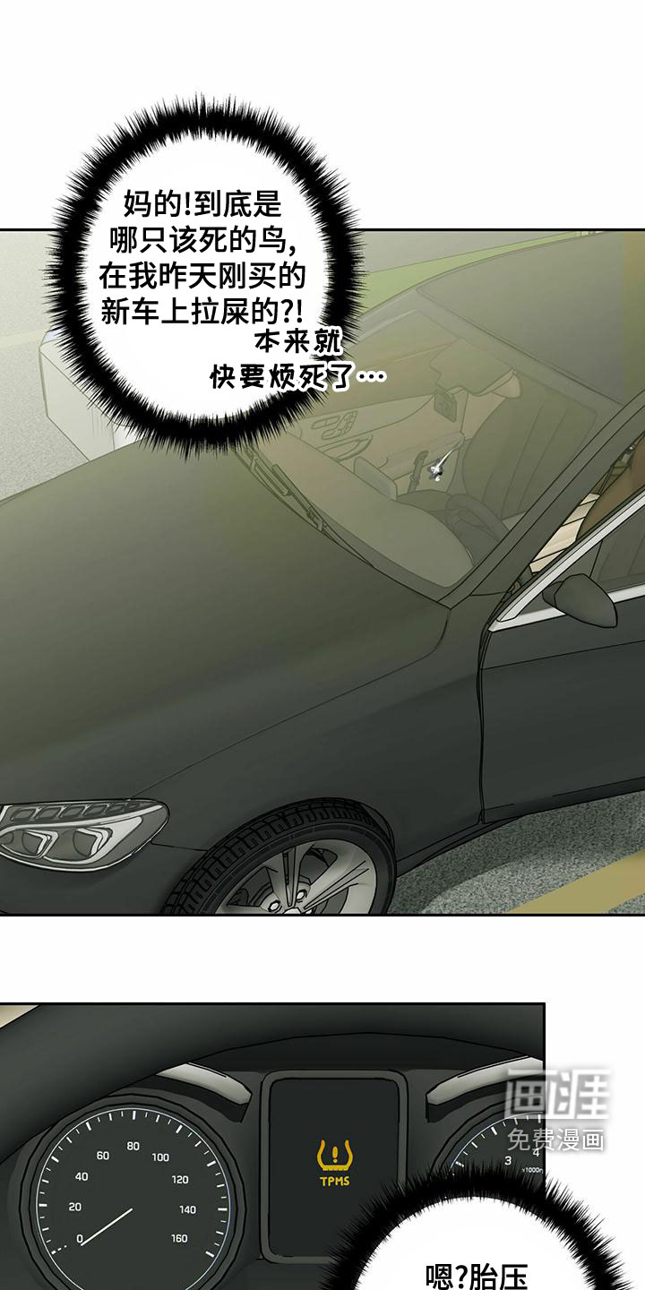 幸运信用第29话图