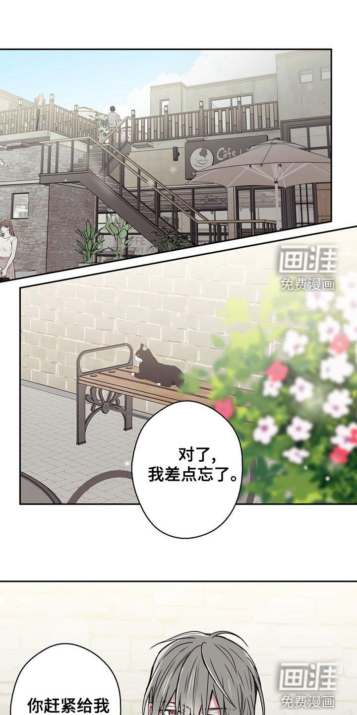 幸运信用第34话图