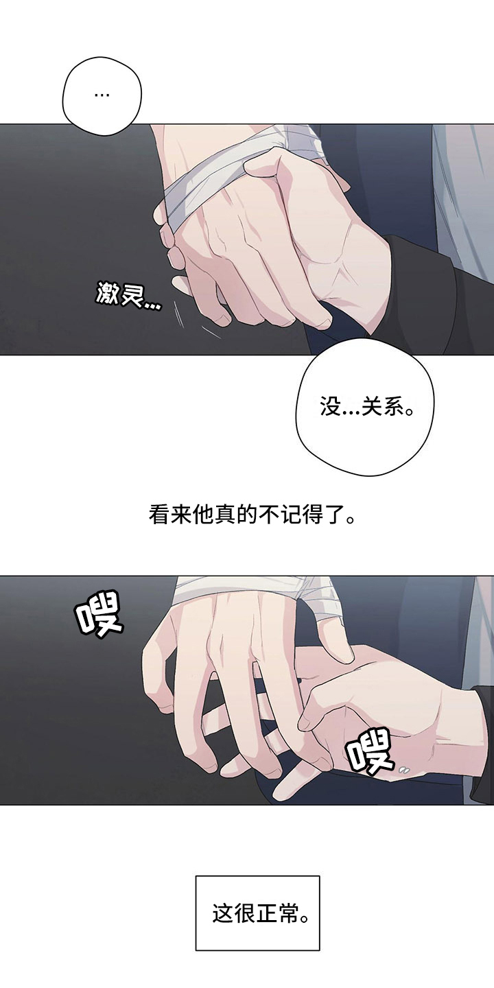 下一盘菜第10话图