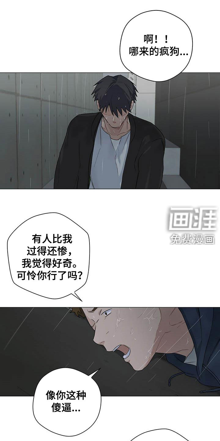 下一盘菜第30话图