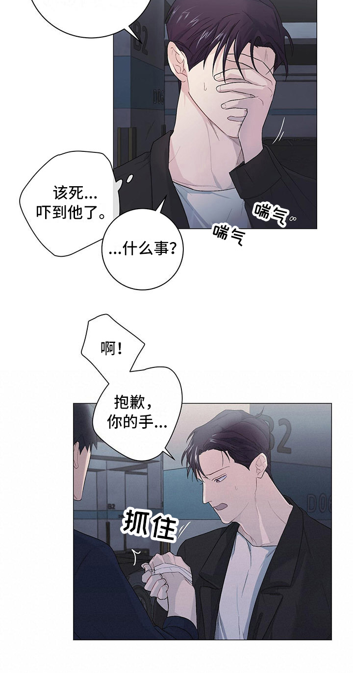 下一盘菜第9话图
