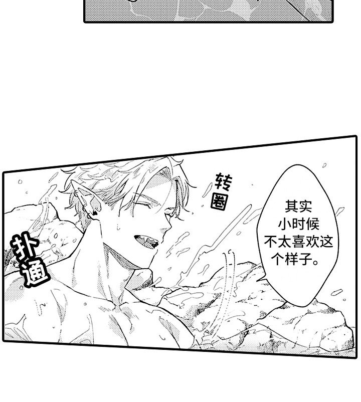 献给鲨鱼家族第10话图