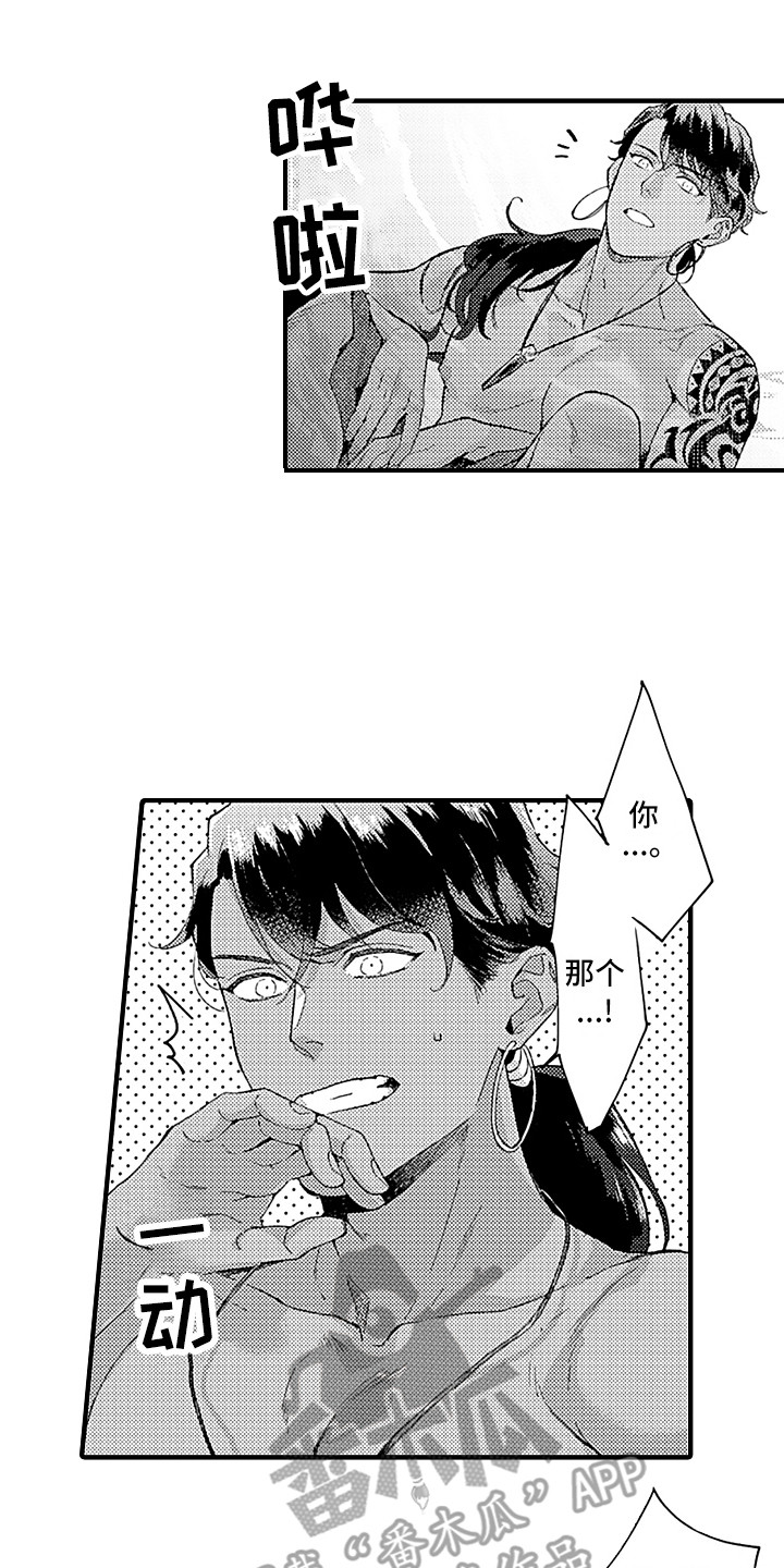 献给鲨鱼家族第11话图