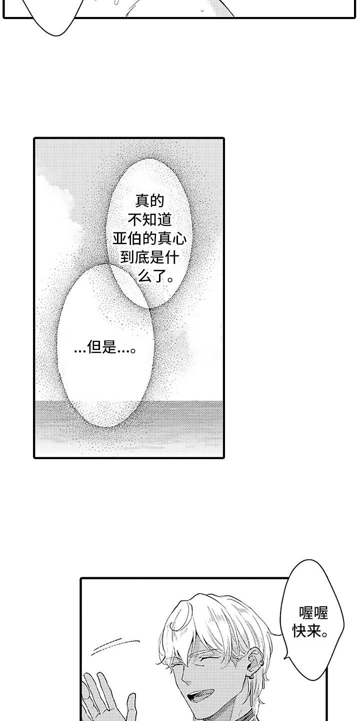 献给鲨鱼家族第15话图