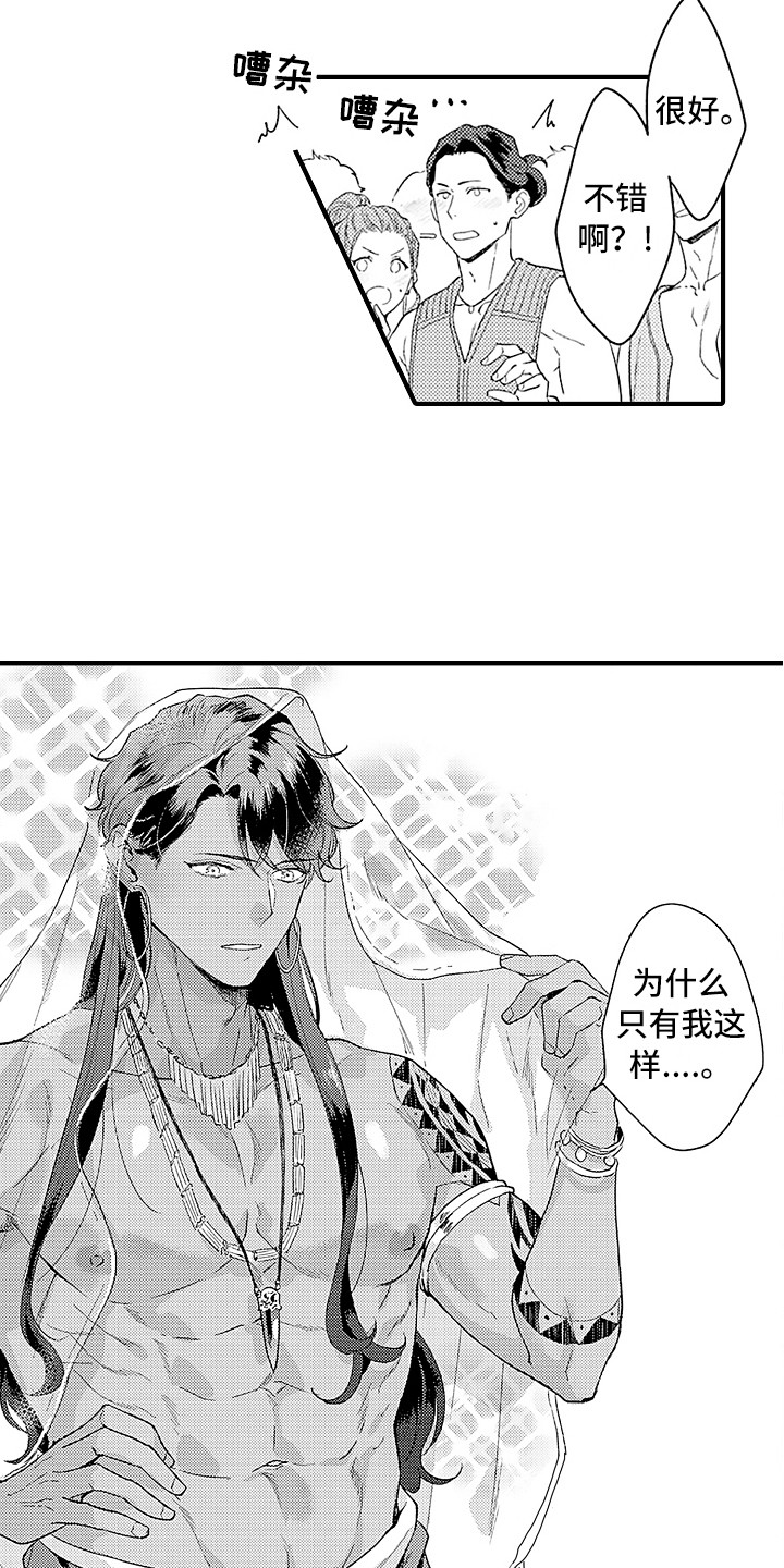 献给鲨鱼家族第15话图