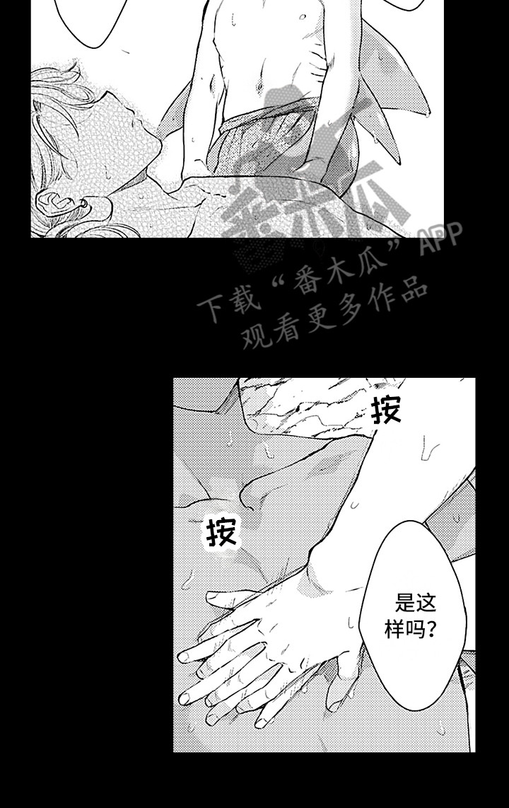 献给鲨鱼家族第21话图