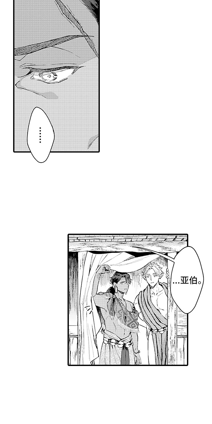 献给鲨鱼家族第25话图