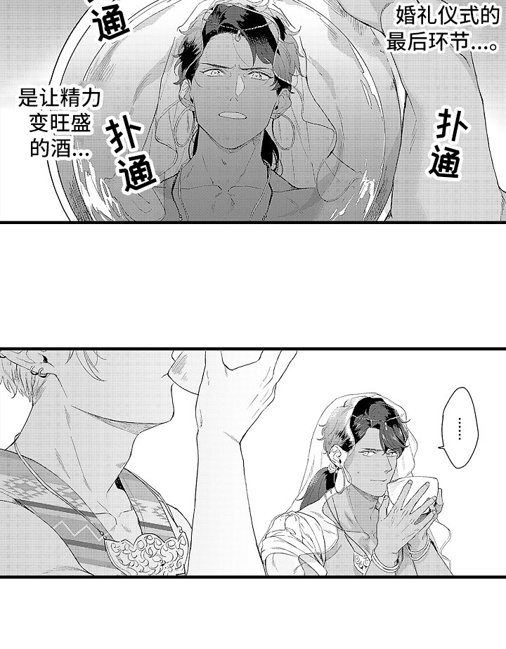 献给鲨鱼家族第7话图