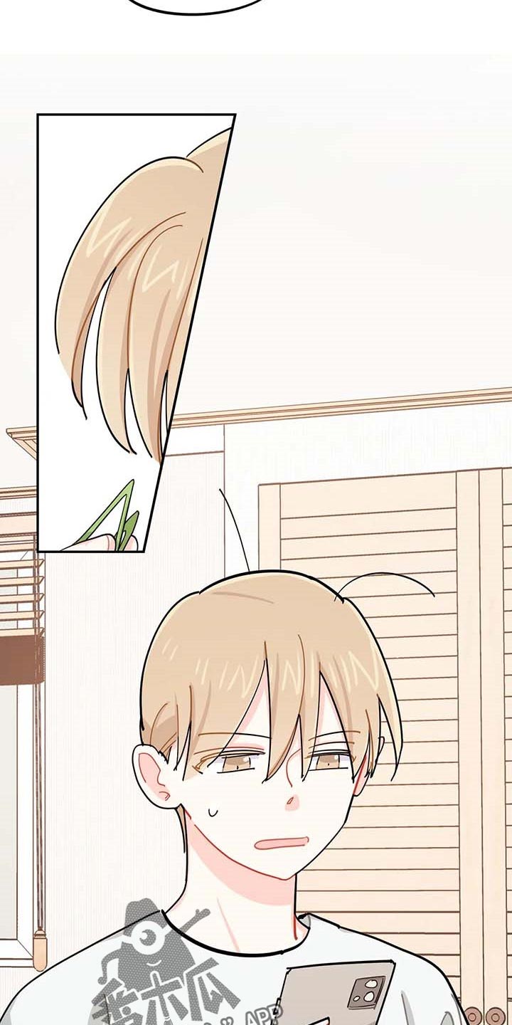 校园之星第39话图