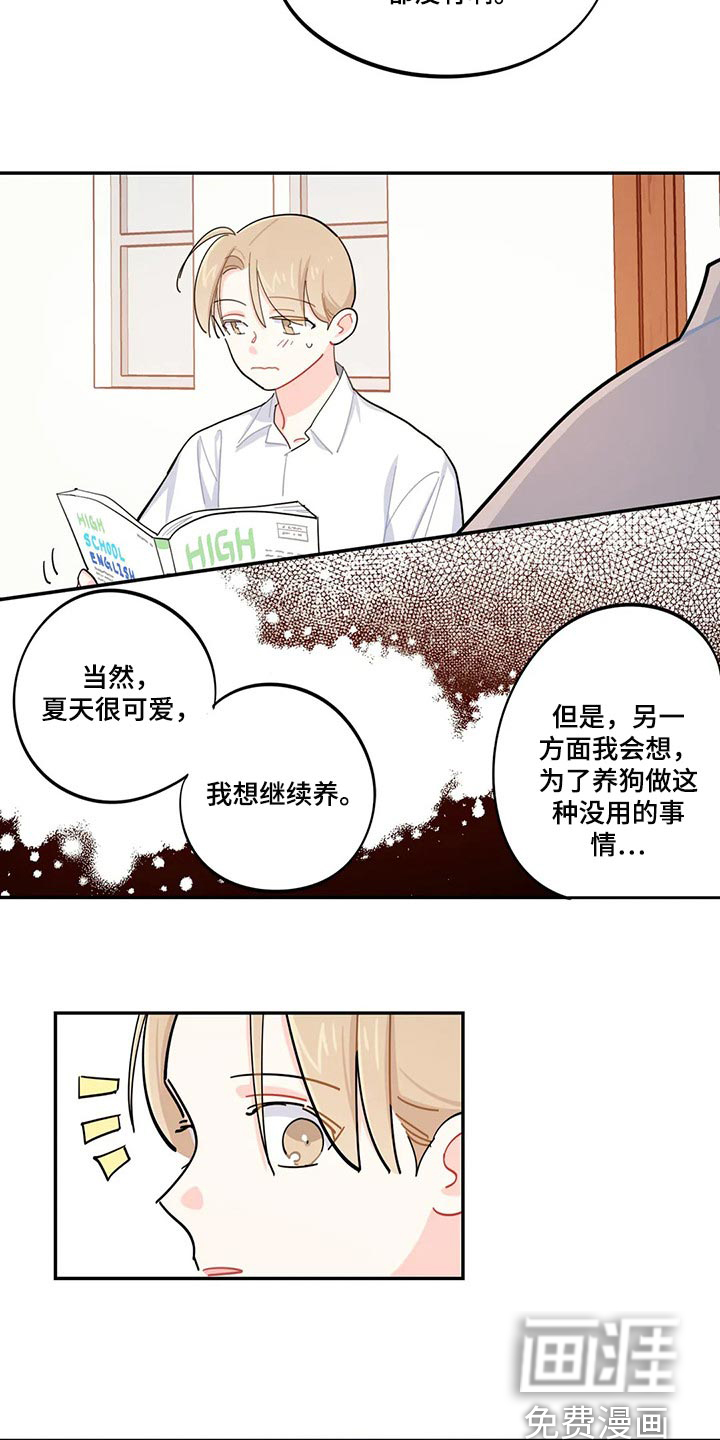 校园之星第48话图