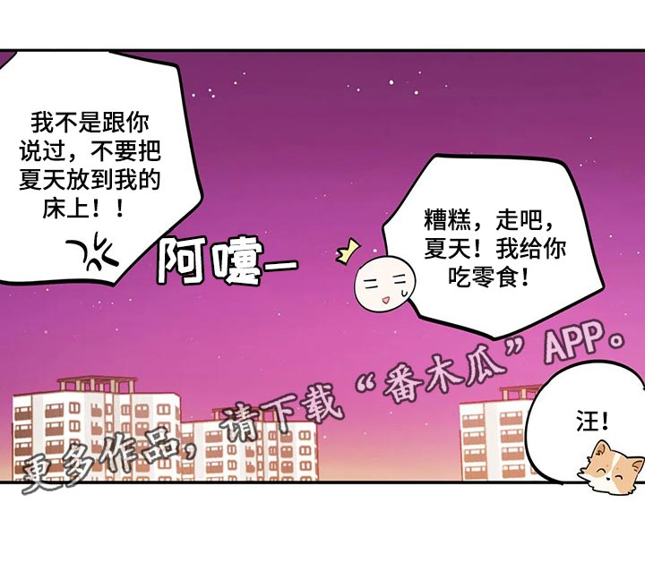 校园之星第48话图