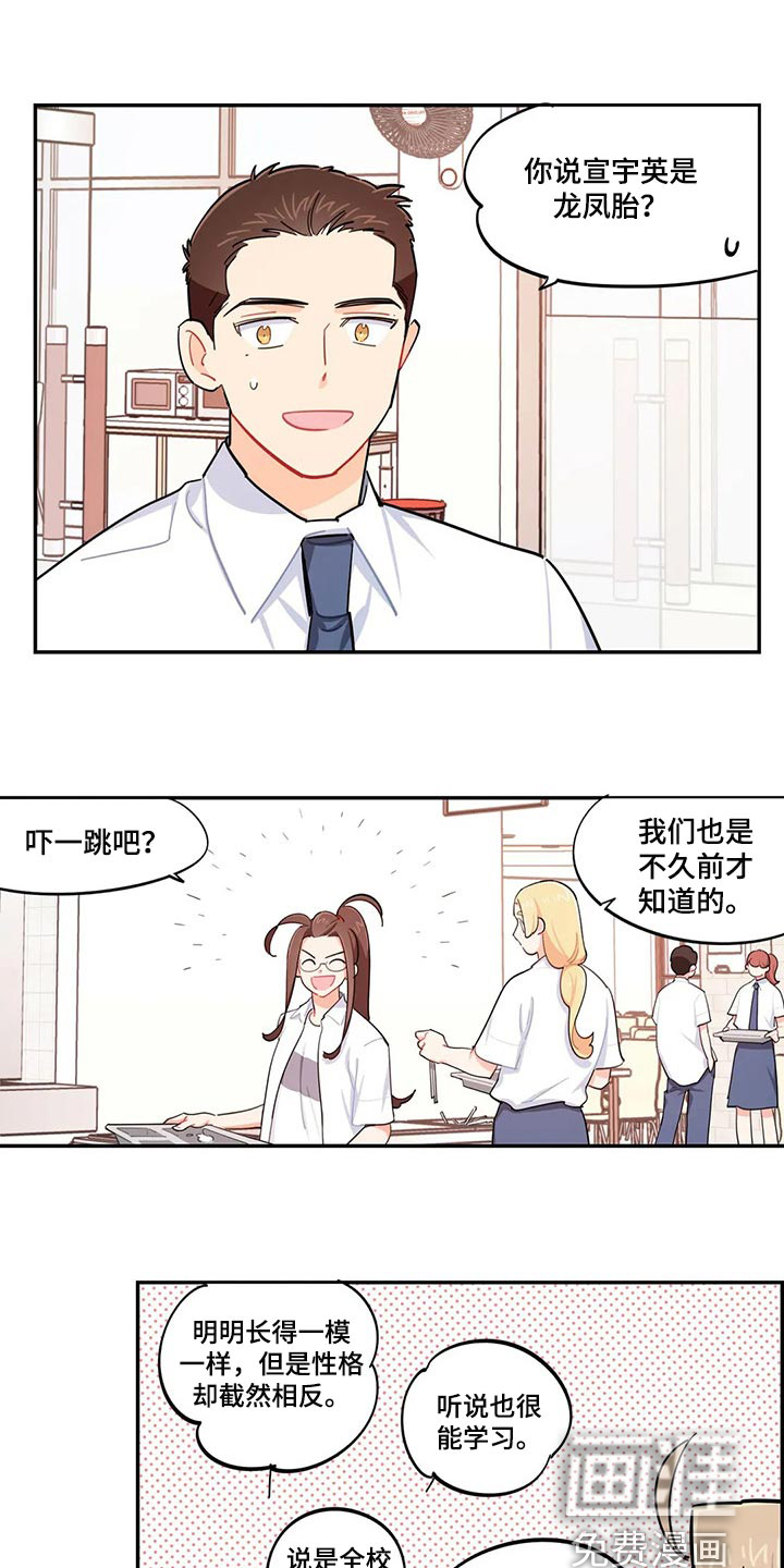 校园之星第49话图