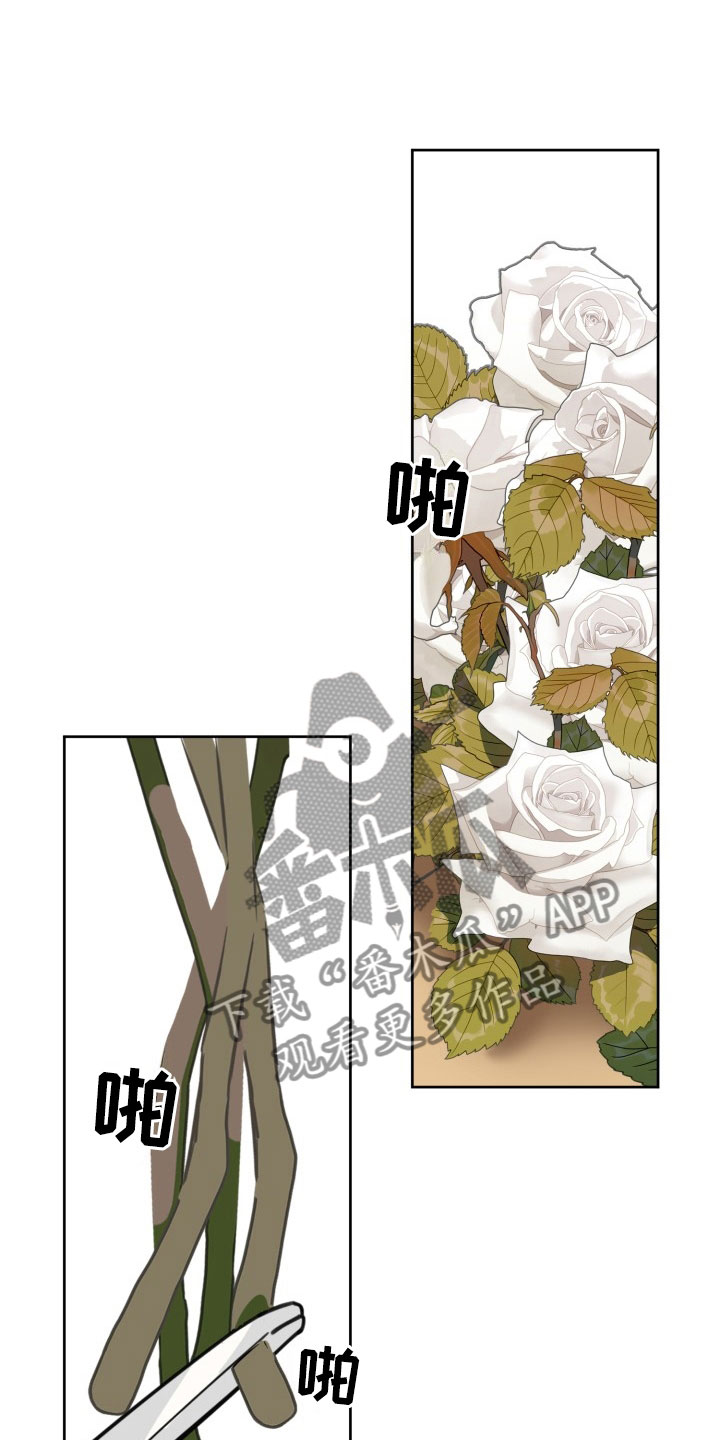 刑警与猎物第16话图