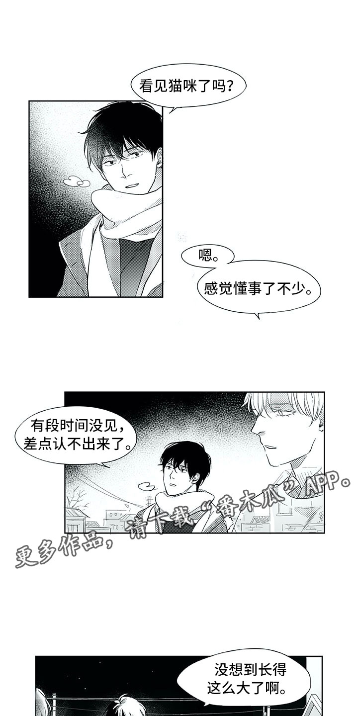 相恋49日第30话图