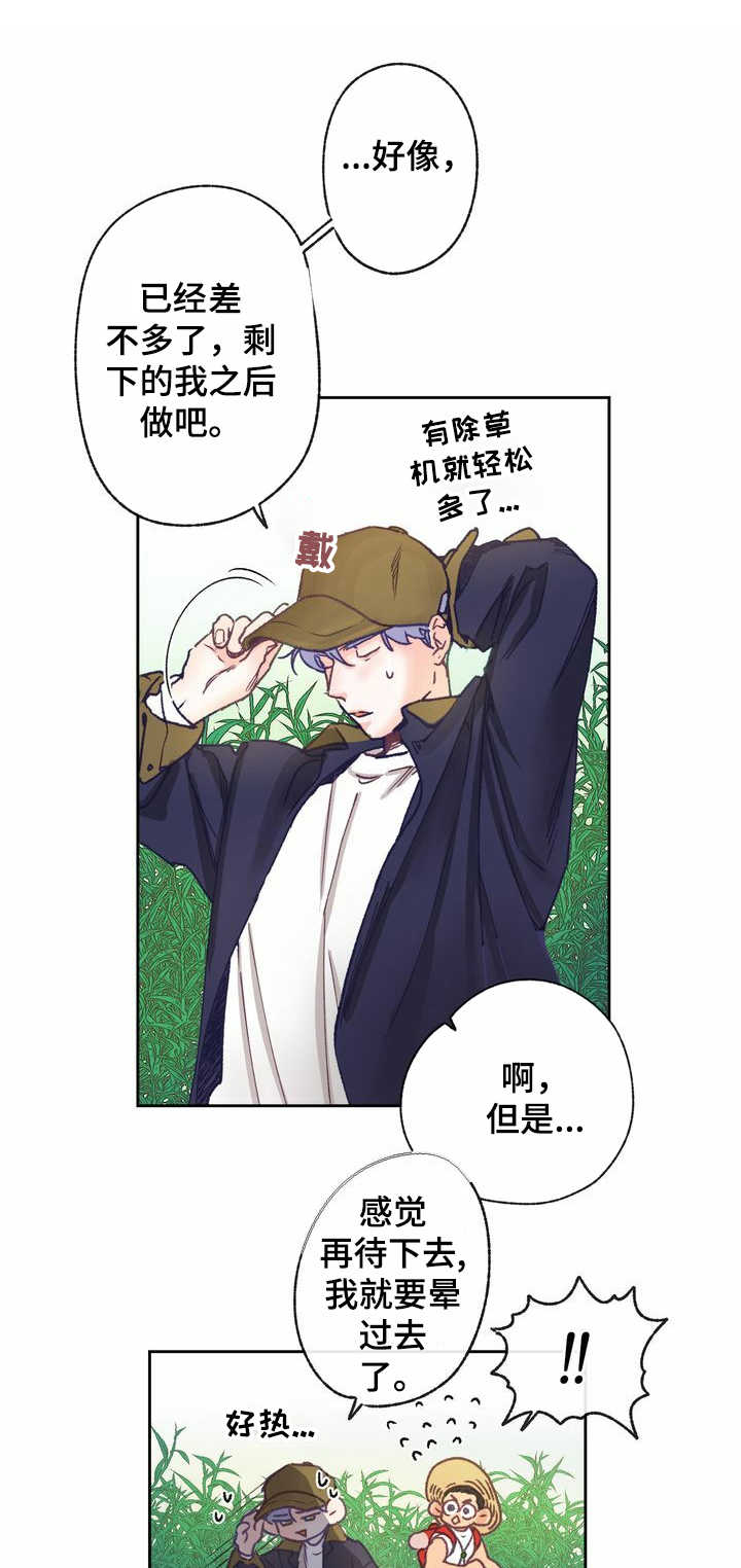 乡野旋律第10话图