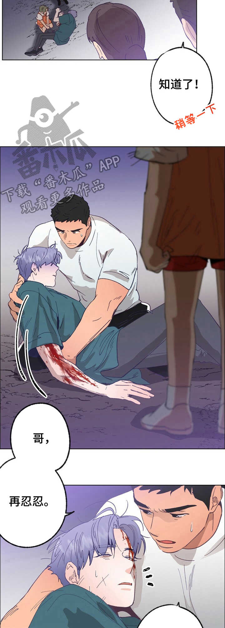 乡野旋律第28话图