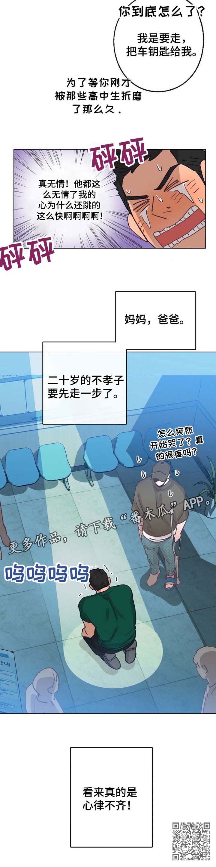 乡野旋律第38话图
