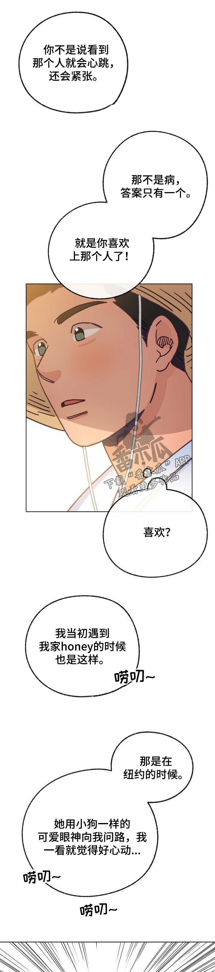 乡野旋律第40话图