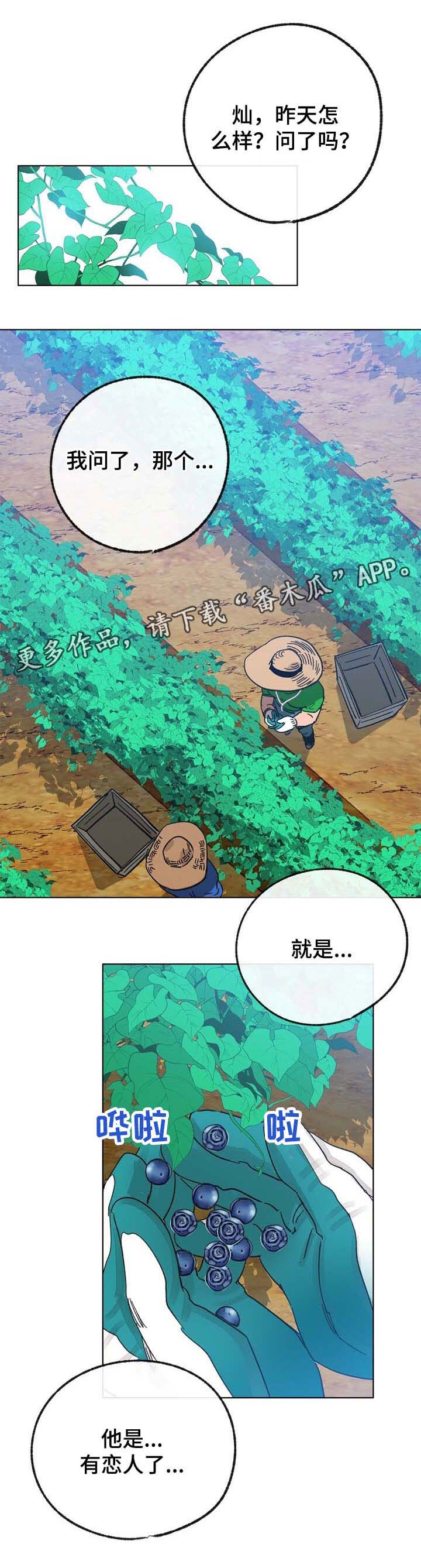 乡野旋律第42话图