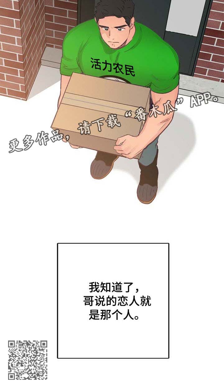 乡野旋律第45话图