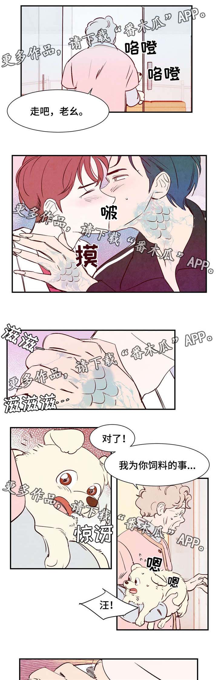 寻鳞之旅第15话图