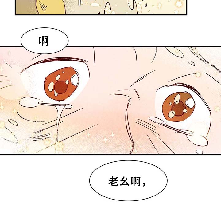 寻鳞之旅第36话图