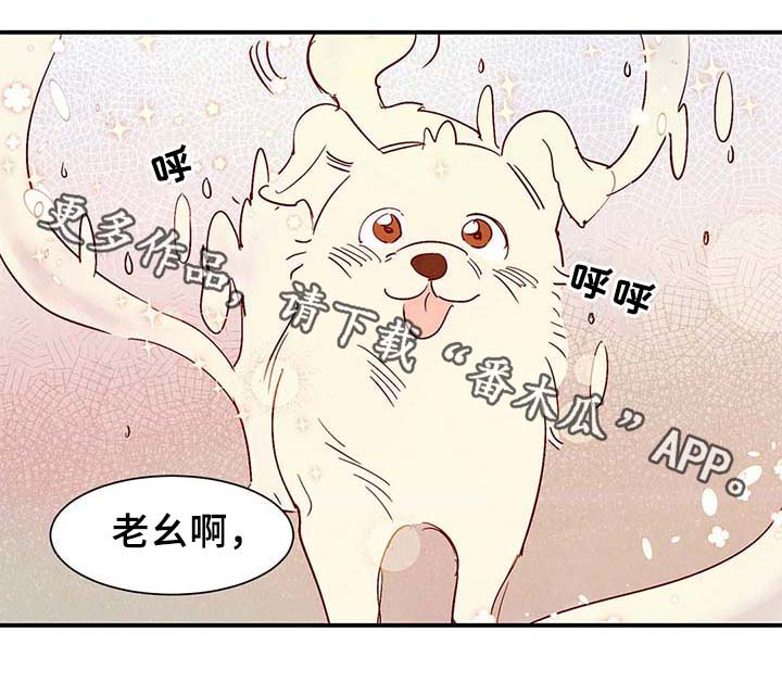 寻鳞之旅第37话图