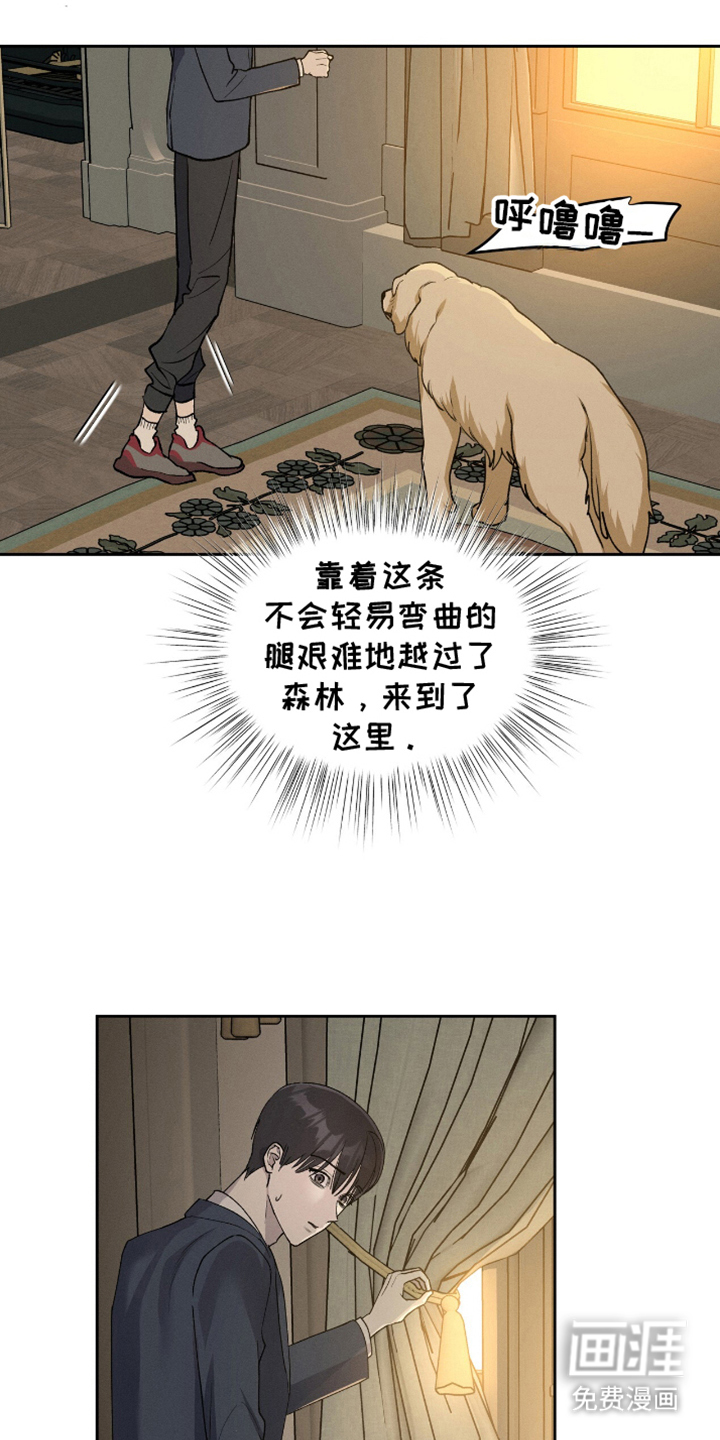 消失的琴声第3话图