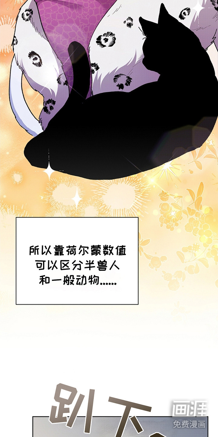 小白狗奇遇记第11话图