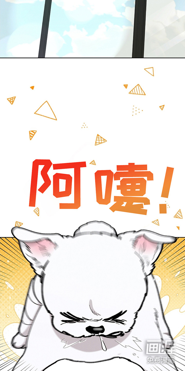 小白狗奇遇记第13话图