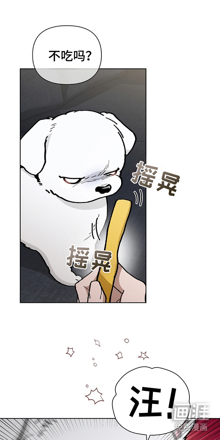 小白狗奇遇记第14话图