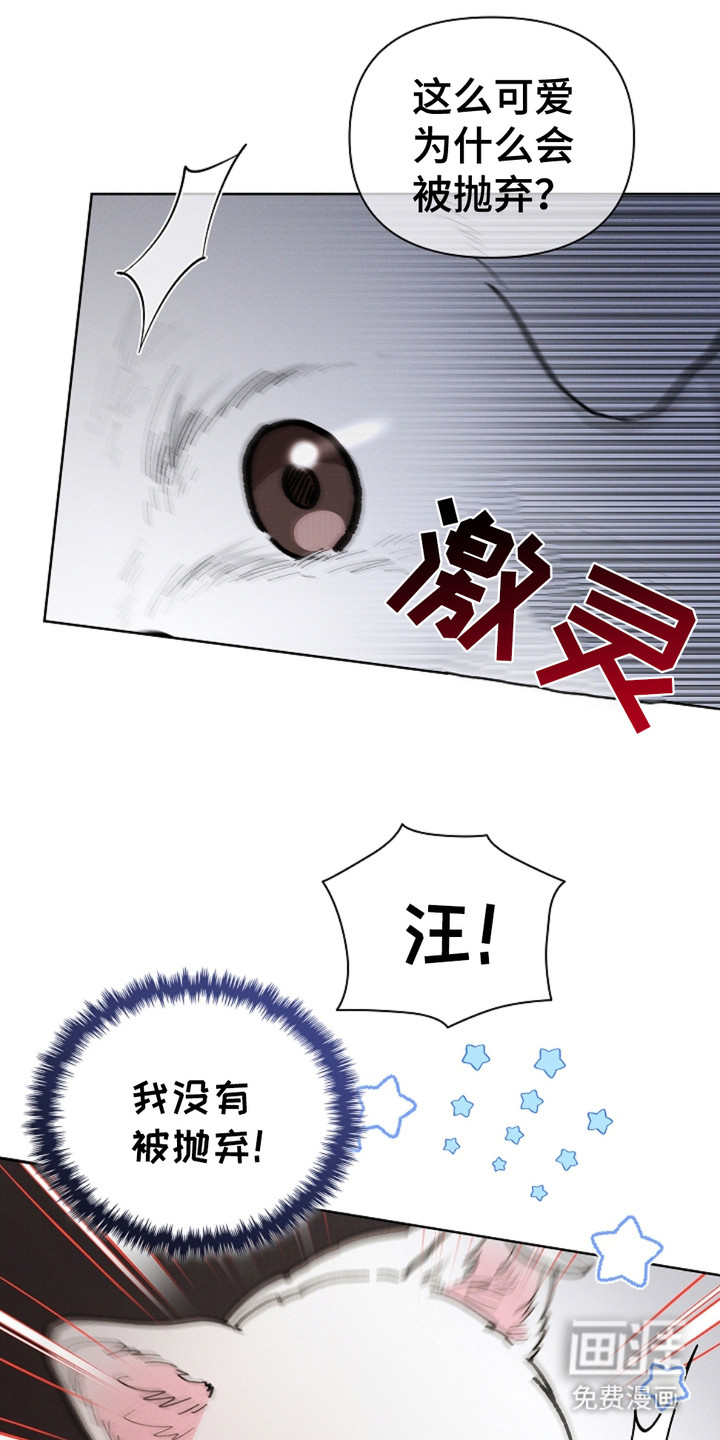 小白狗奇遇记第15话图