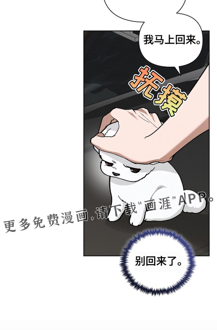 小白狗奇遇记第25话图