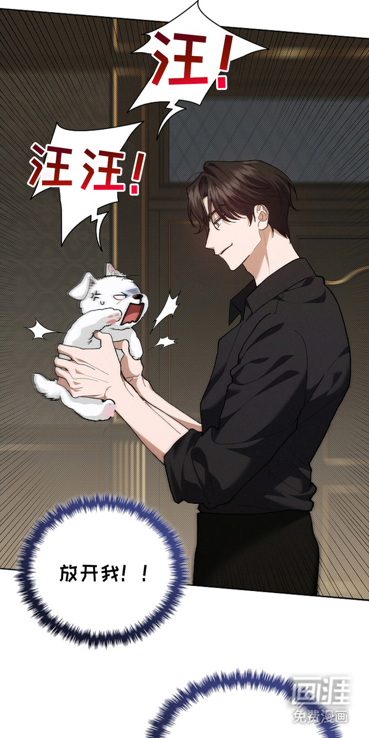 小白狗奇遇记第4话图