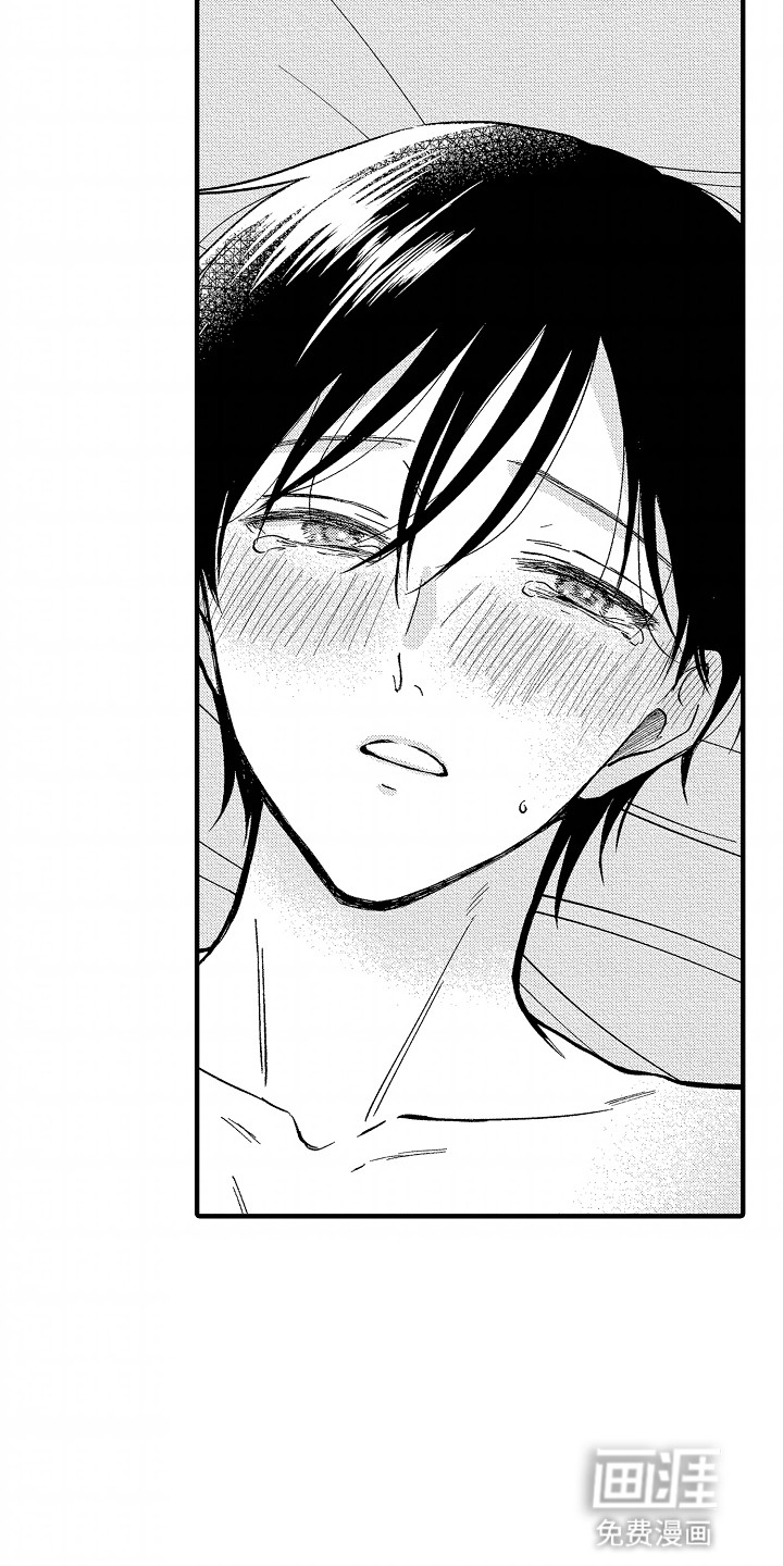 小说家的命运之人第14话图