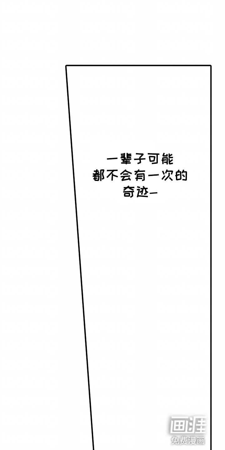 小说家的命运之人第4话图