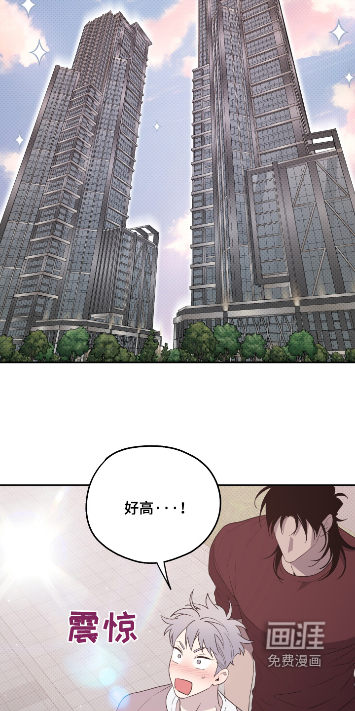 小卡风波第17话图