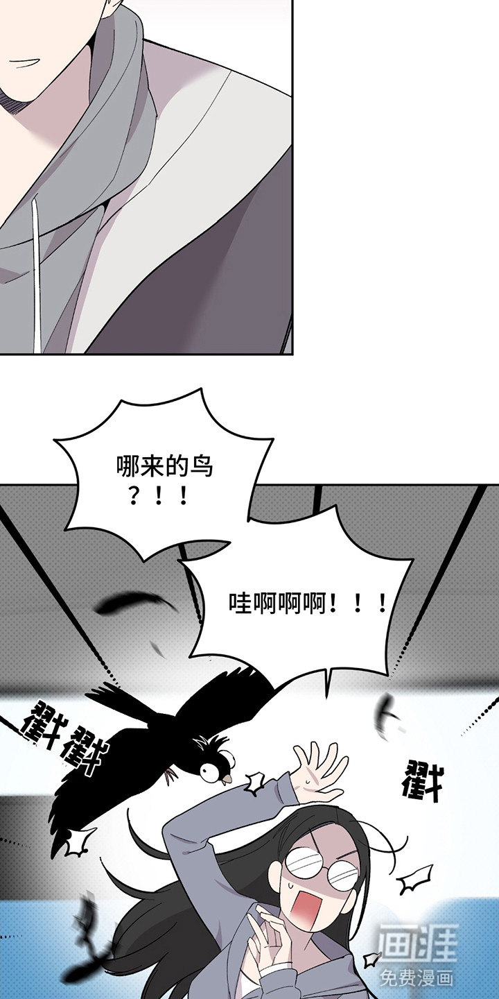 小卡风波第2话图