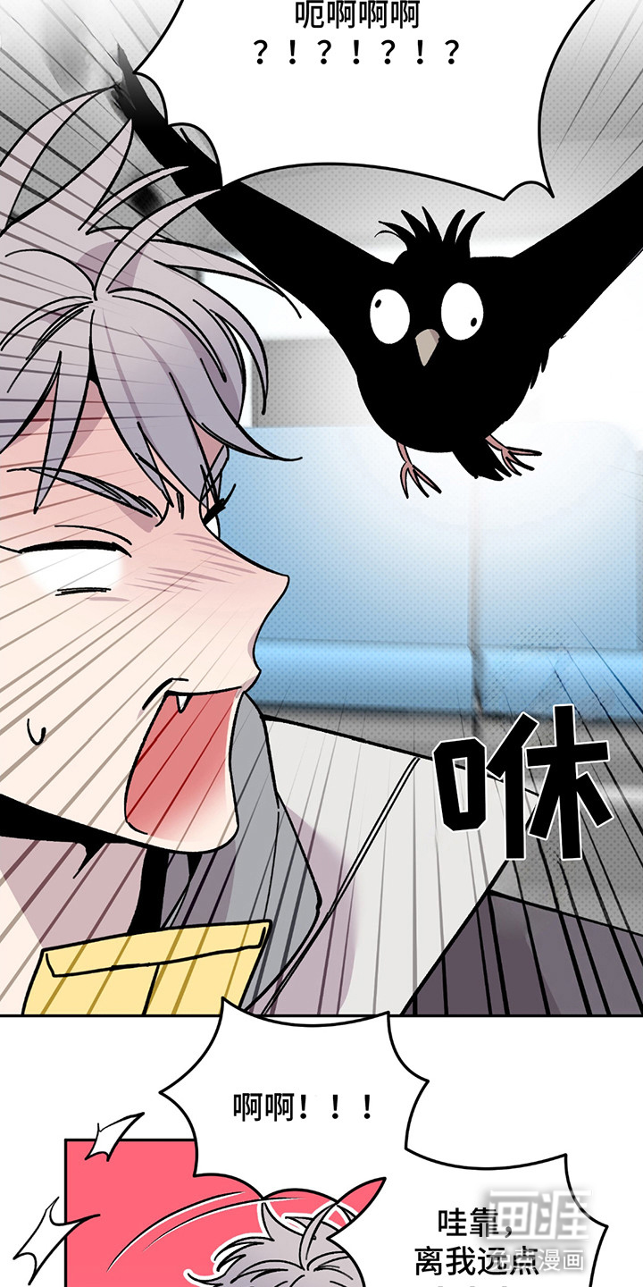 小卡风波第2话图