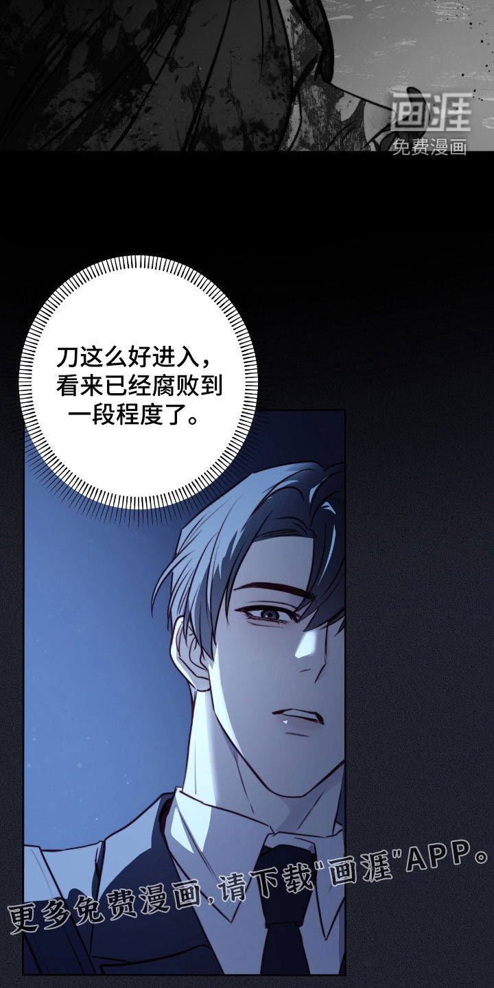 幸存者的曙光第35话图