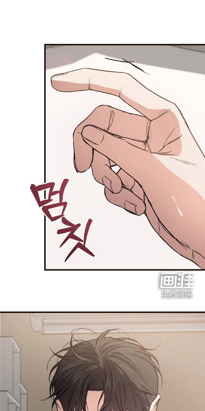 驯养暗号第16话图