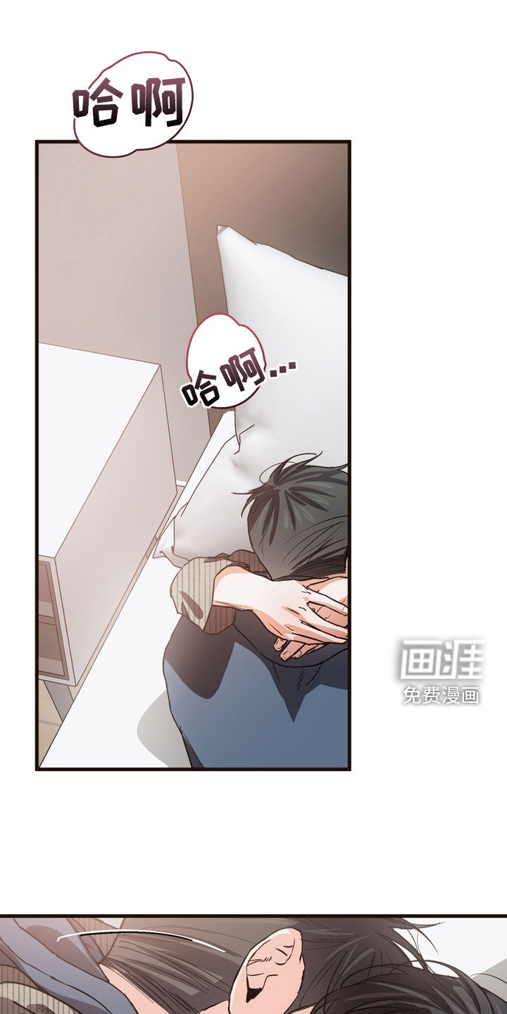 驯养暗号第20话图