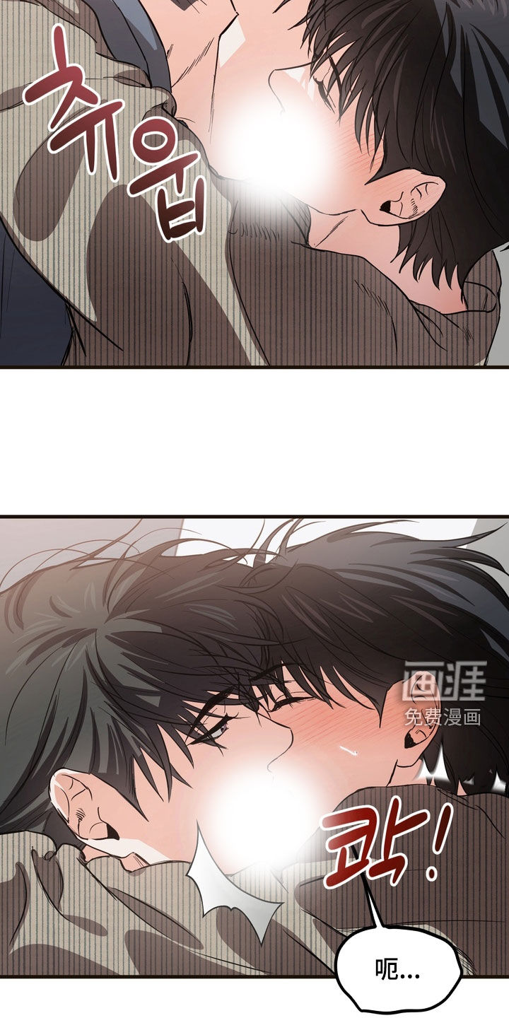 驯养暗号第20话图