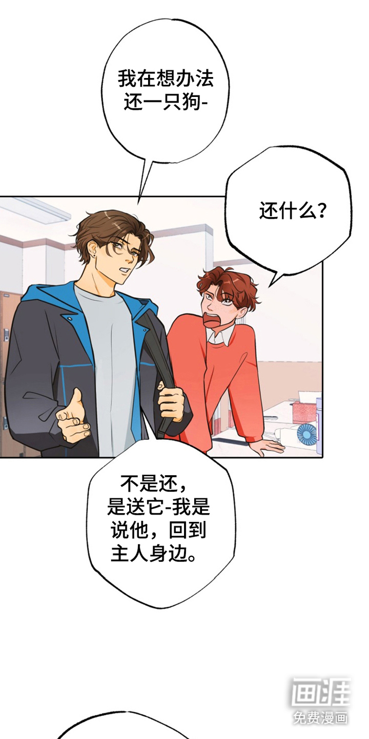 辛巴奇缘第11话图