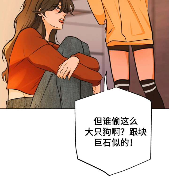 辛巴奇缘第11话图