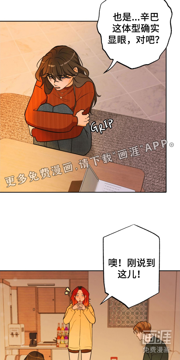 辛巴奇缘第12话图