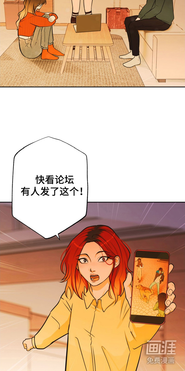 辛巴奇缘第12话图