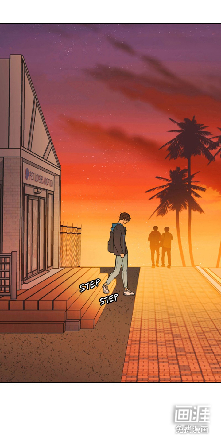 辛巴奇缘第13话图