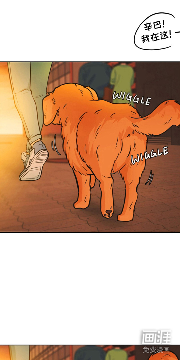 辛巴奇缘第14话图