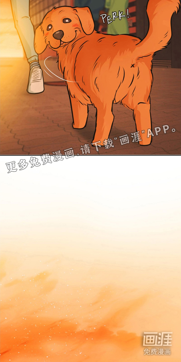 辛巴奇缘第14话图